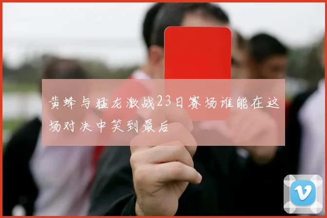 黄蜂与猛龙激战23日赛场谁能在这场对决中笑到最后