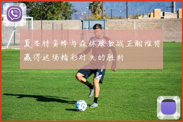 夏洛特黄蜂与森林狼激战正酣谁将赢得这场精彩对决的胜利